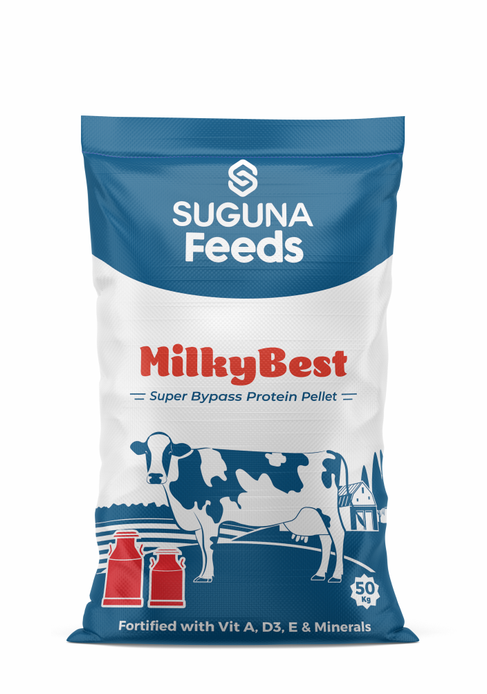 Cattle Feed - Suguna_WP